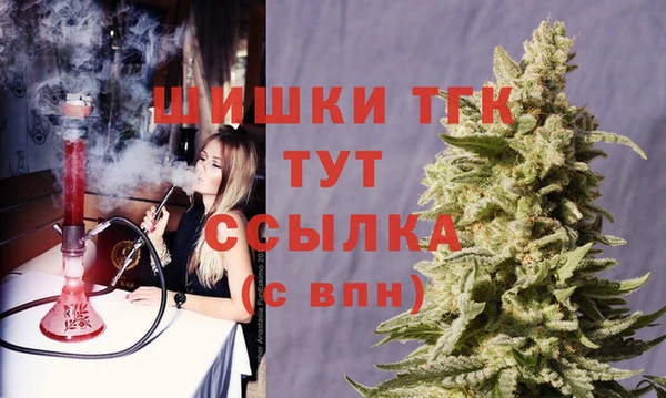 хмурый Бородино