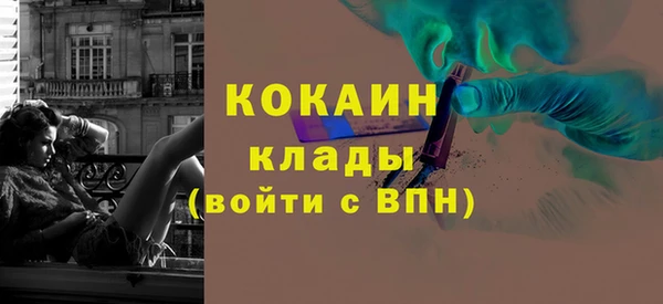 хмурый Бородино
