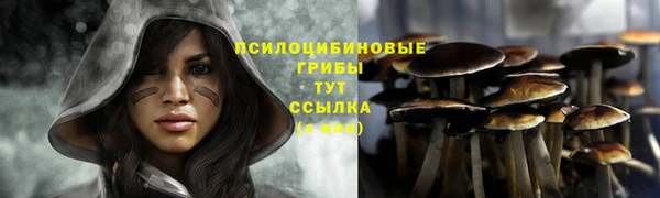 хмурый Бородино