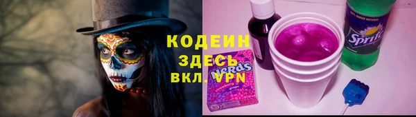 хмурый Бородино
