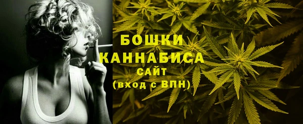 амф Бронницы