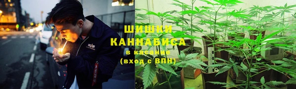 мяу мяу мука Карабаново