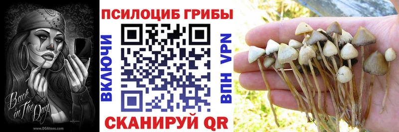 Галлюциногенные грибы прущие грибы  гидра рабочий сайт  Верхний Тагил 